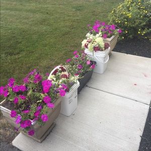 Meet your Posher, Anila